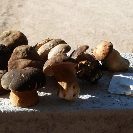 Agriturismo Vaddidulimu Luogosanto Kültér fotó