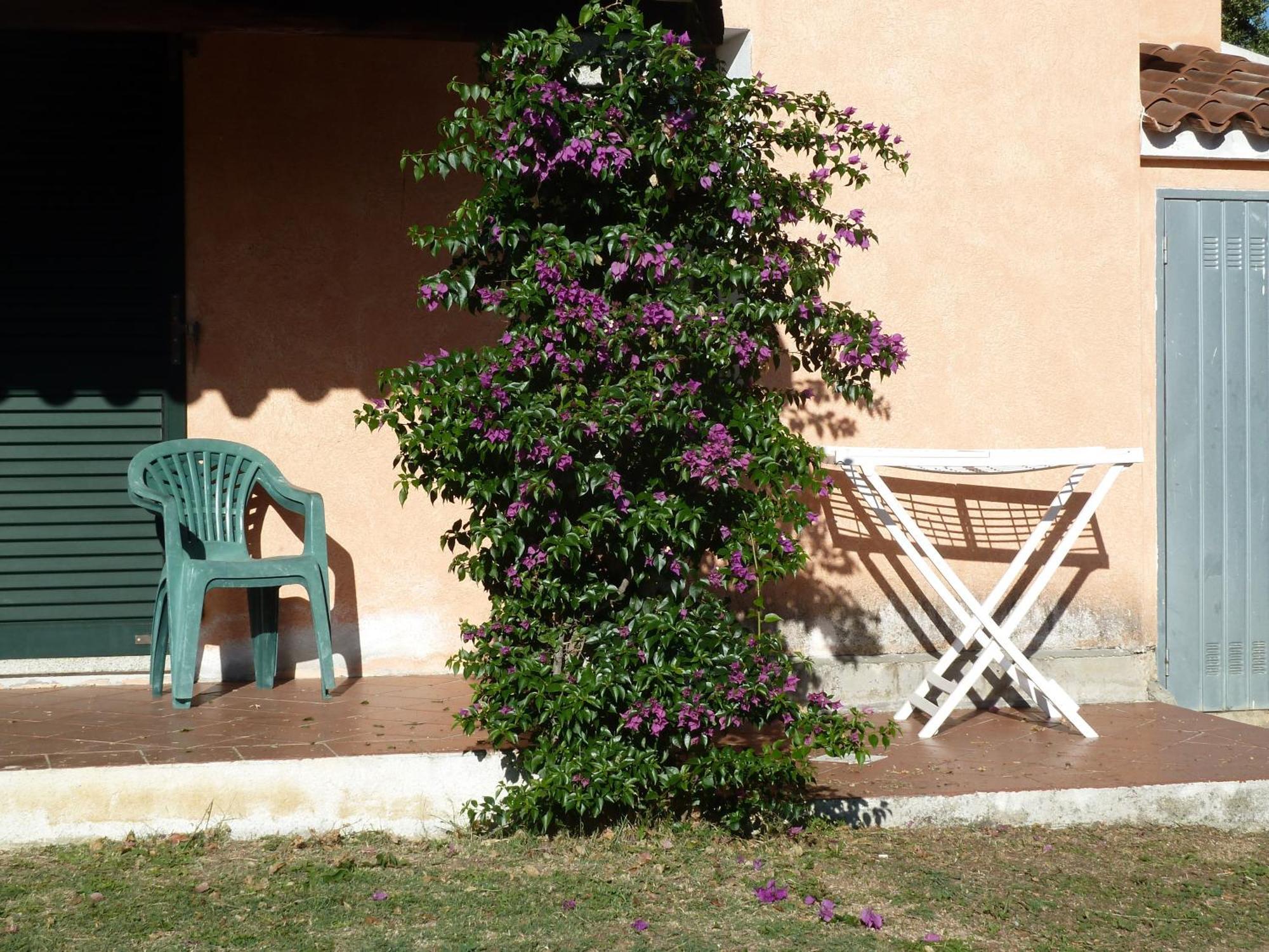 Agriturismo Vaddidulimu Luogosanto Kültér fotó