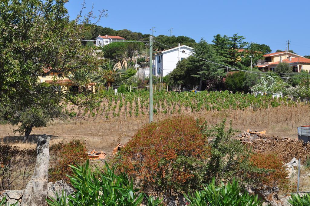 Agriturismo Vaddidulimu Luogosanto Kültér fotó