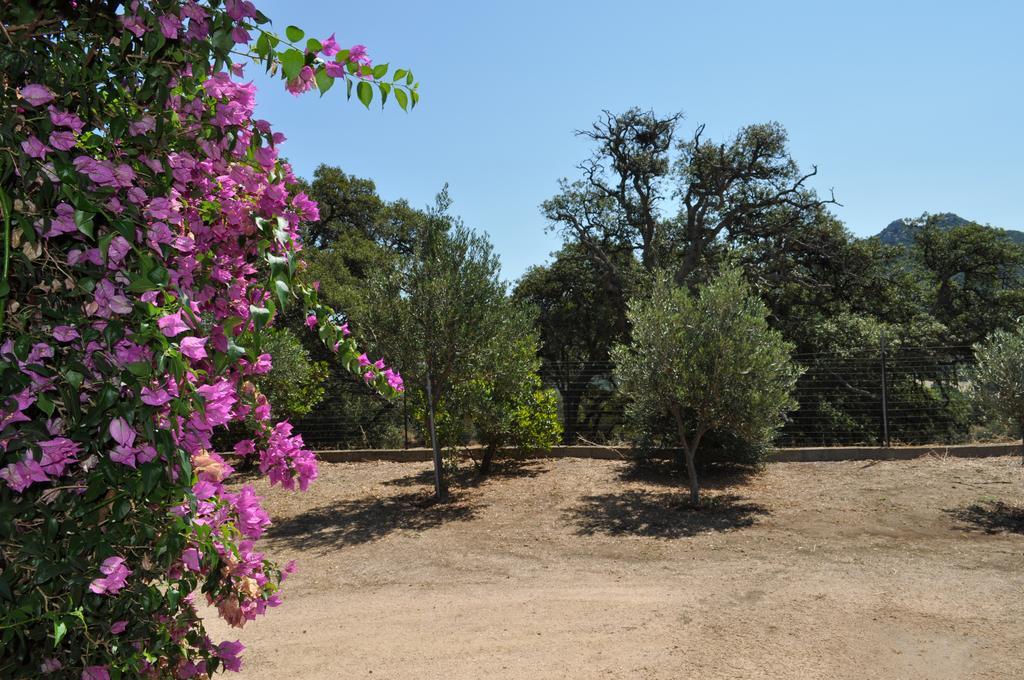 Agriturismo Vaddidulimu Luogosanto Kültér fotó